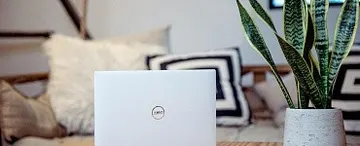 Курс «Canva. От идеи до воплощения»