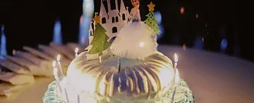 Курс «Зимние WOW-торты и декор» — ID 252557