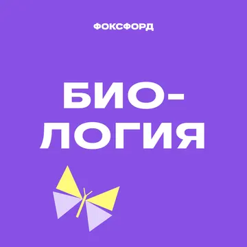 Углубленный курс по анатомии. 8-11 класс