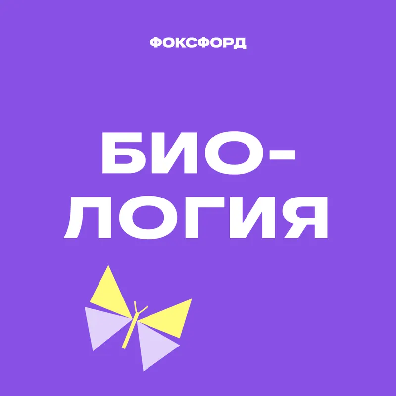 Углубленный курс по анатомии. 8-11 класс