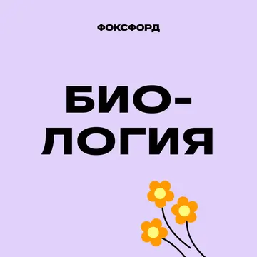 Биология. Углубленный уровень. 5–6 класс
