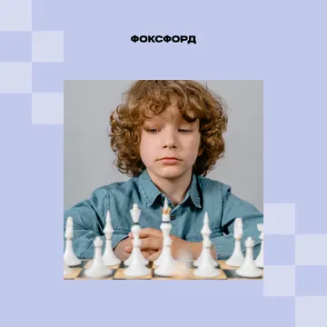 Шахматы: начальный уровень.