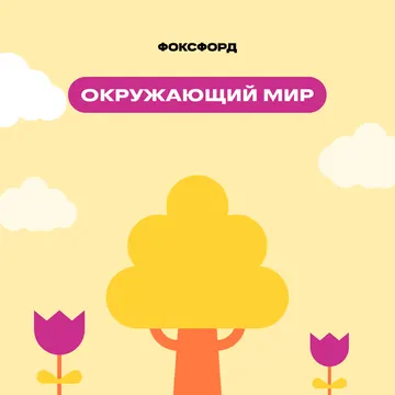 Школьный окружающий мир. Базовый уровень — GeekBrains · ID -14901