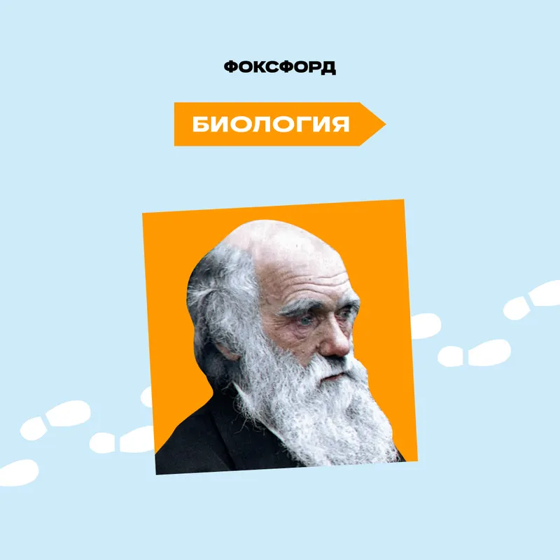 Репетитор 5-11 класс - Биология